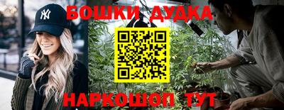 прущие крисы Заводоуковск