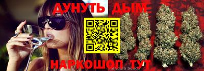 соль ск Изобильный