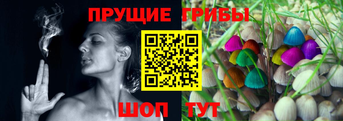 Псилоцибиновые грибы Psilocybe  Псилоцибиновые грибы Cubensis  как найти наркотики  Вход с VPN  Лыткарино 